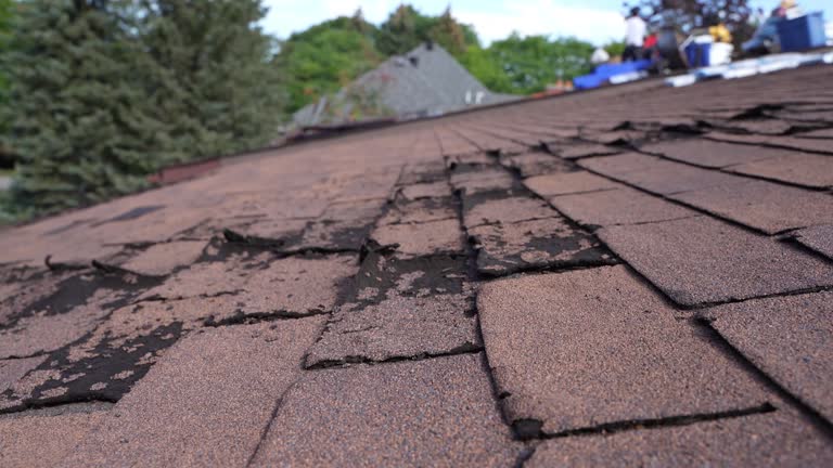 Best Roof Maintenance and Cleaning  in Delta, OH
