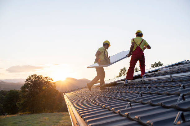 Best Roof Moss and Algae Removal  in Delta, OH